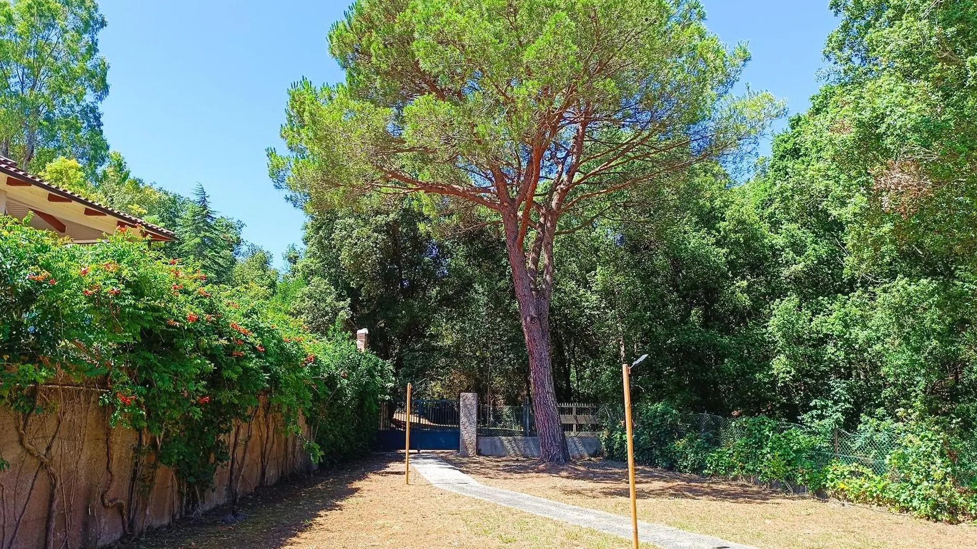 Holiday home Villa Giovanna - Goelba Cavo Italy