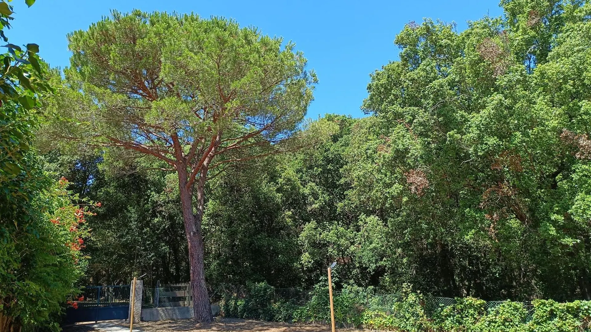 Villa Giovanna - Goelba Cavo Holiday home