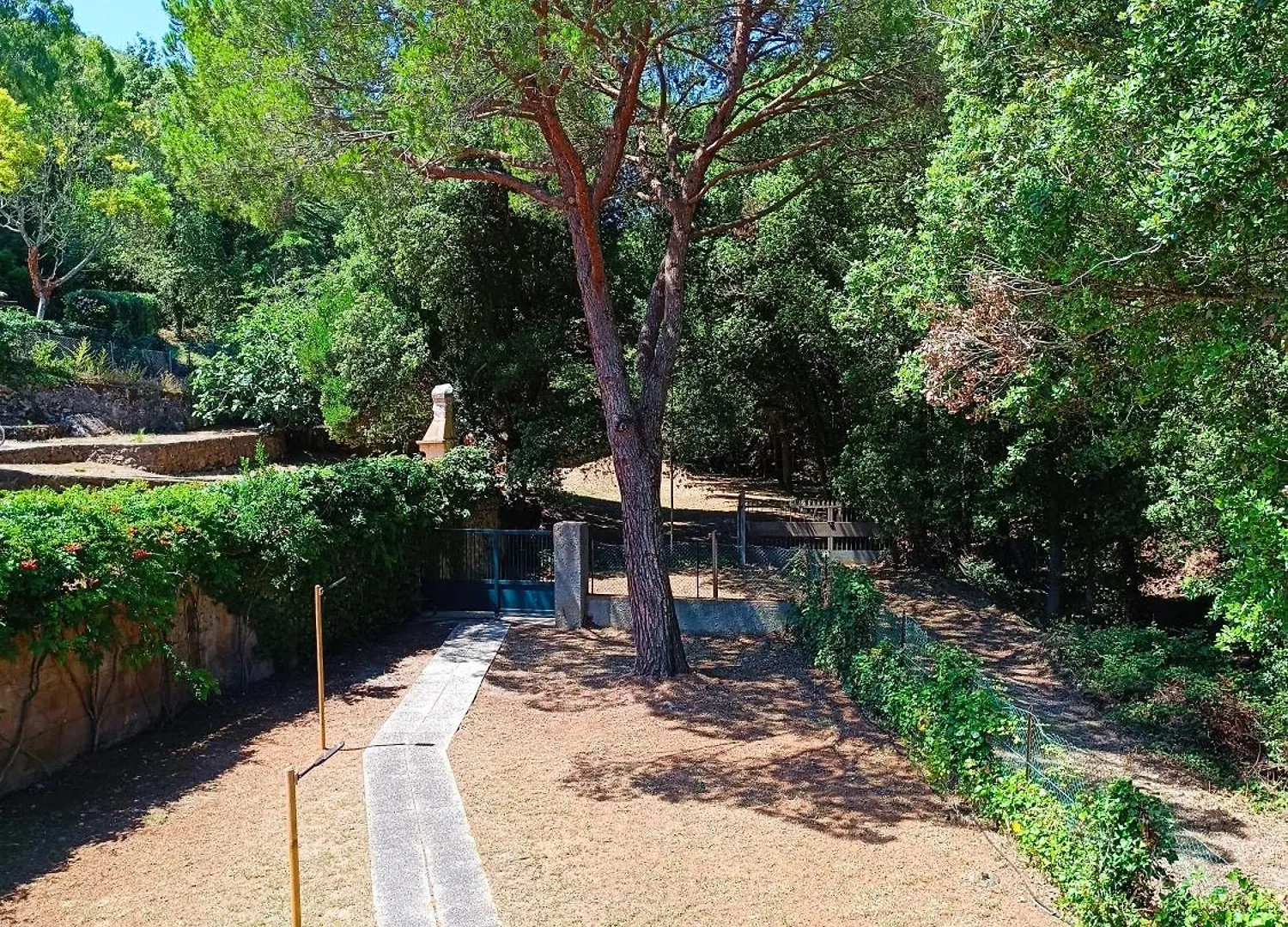 Villa Giovanna - Goelba Cavo