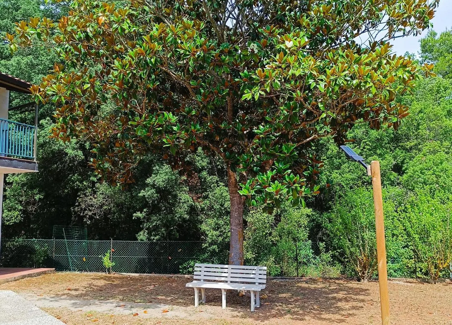 Villa Giovanna - Goelba Cavo Holiday home